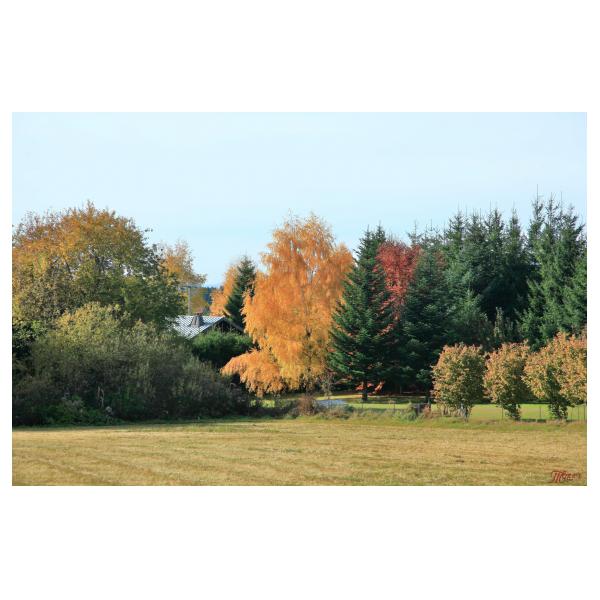 PHOTO84, CLUB, 84 , LUBERON